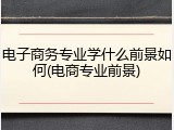 电子商务专业学什么前景如何(电商专业前景)