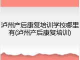 泸州产后康复培训学校哪里有(泸州产后康复培训)