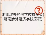 湖南涉外经济学校有多大(湖南涉外经济学校面积)
