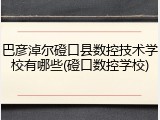 巴彦淖尔磴口县数控技术学校有哪些(磴口数控学校)