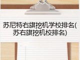 苏尼特右旗挖机学校排名(苏右旗挖机校排名)