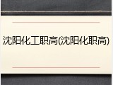 沈阳化工职高(沈阳化职高)