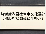 盐城建湖县体育生文化课补习机构(建湖体育生补习)