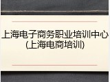 上海电子商务职业培训中心(上海电商培训)