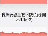 株洲有哪些艺术院校(株洲艺术院校)