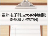 贵州电子科技大学仲维钢(贵州科大仲维钢)