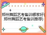 郑州舞蹈艺考集训哪家好(郑州舞蹈艺考集训推荐)