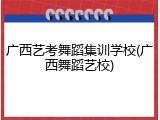 广西艺考舞蹈集训学校(广西舞蹈艺校)
