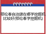 鄂伦春自治旗在哪学挖掘机比较好(鄂伦春学挖掘机)