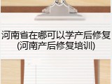 河南省在哪可以学产后修复(河南产后修复培训)