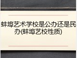 蚌埠艺术学校是公办还是民办(蚌埠艺校性质)