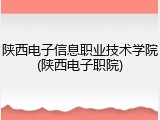 陕西电子信息职业技术学院(陕西电子职院)
