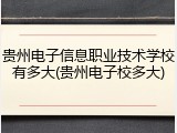 贵州电子信息职业技术学校有多大(贵州电子校多大)