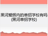 黑河爱辉内的单招学校有吗(黑河单招学校)