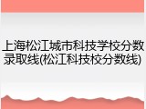 上海松江城市科技学校分数录取线(松江科技校分数线)