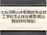 七台河桃山中职数控专业技工学校怎么样在哪里(桃山数控技校地址)