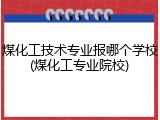 煤化工技术专业报哪个学校(煤化工专业院校)