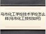 乌市化工学校技术学校怎么样(乌市化工技校如何)