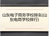 山东电子商务学校排名(山东电商学校排行)