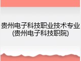 贵州电子科技职业技术专业(贵州电子科技职院)