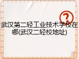 武汉第二轻工业技术学校在哪(武汉二轻校地址)