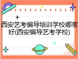 西安艺考编导培训学校哪家好(西安编导艺考学校)