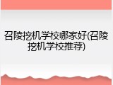 召陵挖机学校哪家好(召陵挖机学校推荐)