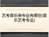 艺考音乐类专业有哪些(音乐艺考专业)