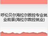 呼伦贝尔海拉尔数控专业就业前景(海拉尔数控就业)