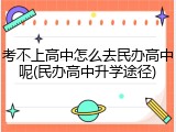 考不上高中怎么去民办高中呢(民办高中升学途径)