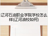 辽河石油职业学院学校怎么样(辽河油校如何)