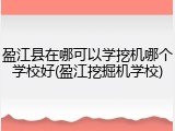 盈江县在哪可以学挖机哪个学校好(盈江挖掘机学校)