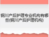 铜川产后护理专业机构有哪些(铜川产后护理机构)