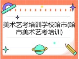 美术艺考培训学校哈市(哈市美术艺考培训)