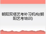 朝阳双塔艺考补习机构(朝阳艺考培训)