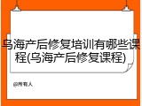 乌海产后修复培训有哪些课程(乌海产后修复课程)