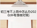 初三考不上高中怎么办2020(中考落榜对策)