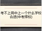 考不上高中上一个什么学校合适(中考择校)