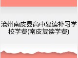 沧州南皮县高中复读补习学校学费(南皮复读学费)