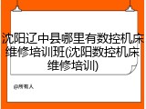 沈阳辽中县哪里有数控机床维修培训班(沈阳数控机床维修培训)