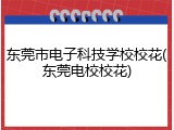 东莞市电子科技学校校花(东莞电校校花)