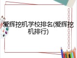 爱辉挖机学校排名(爱辉挖机排行)