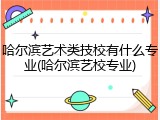 哈尔滨艺术类技校有什么专业(哈尔滨艺校专业)
