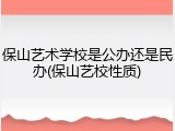 保山艺术学校是公办还是民办(保山艺校性质)