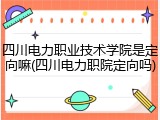 四川电力职业技术学院是定向嘛(四川电力职院定向吗)