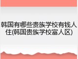 韩国有哪些贵族学校有钱人住(韩国贵族学校富人区)