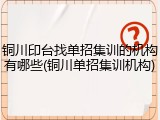 铜川印台找单招集训的机构有哪些(铜川单招集训机构)