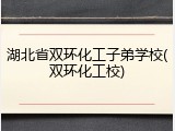 湖北省双环化工子弟学校(双环化工校)