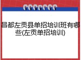 昌都左贡县单招培训班有哪些(左贡单招培训)
