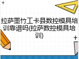 拉萨墨竹工卡县数控模具培训靠谱吗(拉萨数控模具培训)